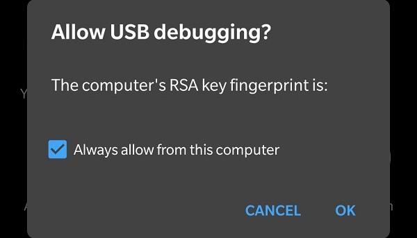 Allow USB Debugging to Establish Connection
