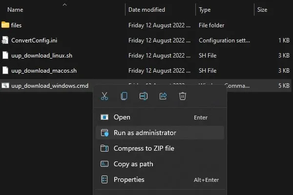 Run UUP Download Windows file as administrator