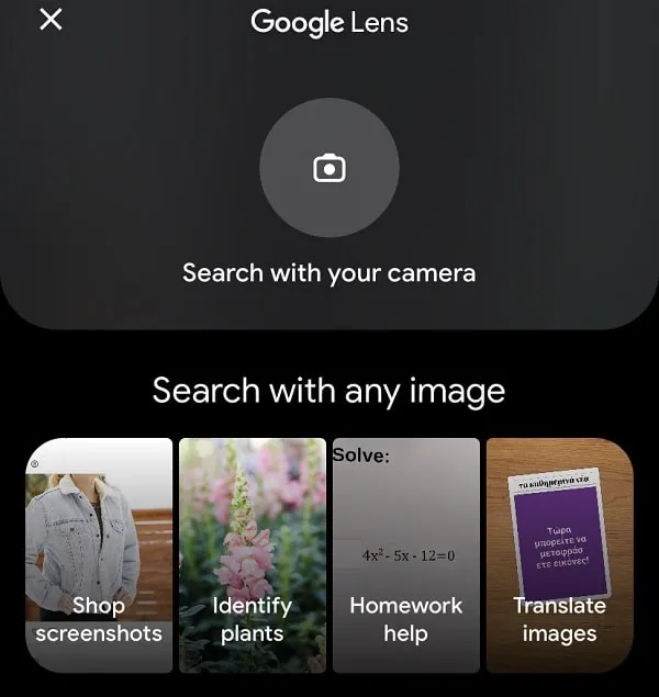 Google Lens Features for Reverse Image Search iPhone