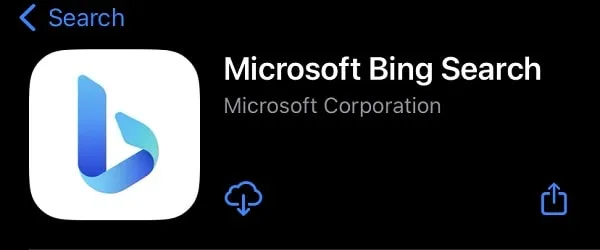 Microsoft Bing Search